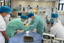 Người đàn ông bị uốn ván nguy kịch vì cọc tre đâm vào tay