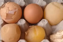 Trứng gà bổ dưỡng nhưng tránh xa nếu có dấu hiệu này