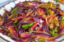 Loại rau rừng mọc hoang, ở Nhật được coi như “nhân sâm châu Á“