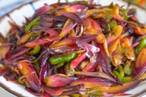 Loại rau rừng mọc hoang, ở Nhật được coi như “nhân sâm châu Á“