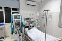 Suy đa tạng, lọc máu liên tục chỉ vì mò đốt