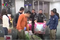 Quang Thắng, Tự Long, Vân Dung tiết lộ gì về Táo Quân 2018?