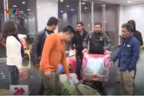 Quang Thắng, Tự Long, Vân Dung tiết lộ gì về Táo Quân 2018?