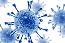 Người thứ 7 trên thế giới khỏi HIV nhờ liệu pháp tế bào gốc