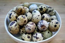 Tác dụng tuyệt vời của trứng cút đối với sức khỏe