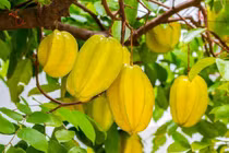 7 trái cây chứa cả “vựa vitamin C” giúp tóc luôn đen bóng