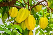 7 trái cây chứa cả “vựa vitamin C” giúp tóc luôn đen bóng