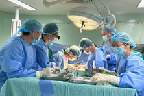 Thực hiện thành công 2 ca ghép thận ở Cần Thơ