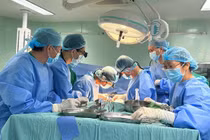 Thực hiện thành công 2 ca ghép thận ở Cần Thơ