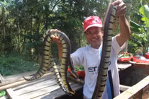 Dân vùng lũ "hốt bạc" nhờ đánh bắt đặc sản “của trời cho”