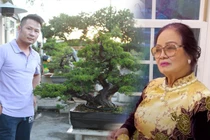 Trộm đột nhập nhà Bằng Kiều tại Mỹ “khoắng” cây bonsai đắt đỏ