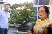 Trộm đột nhập nhà Bằng Kiều tại Mỹ “khoắng” cây bonsai đắt đỏ