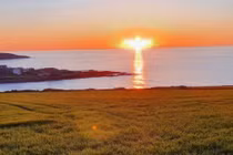 Nợ tiền bạn nhưng không trả, cô gái đề nghị khiến chủ nợ sốc