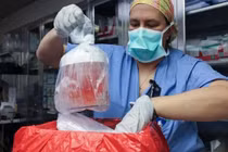 Những đột phá y học đáng kinh ngạc trong năm 2024