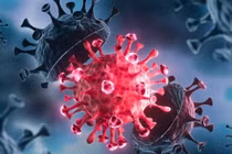 Gia tăng ca mắc biến thế JN.1 của COVID-19 