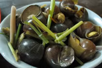 Món ngon từ ốc đổi vị ngày dịu mát