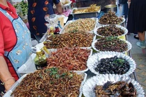 Những địa chỉ thưởng thức côn trùng số 1 Hà Nội