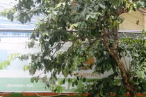 CÔNG TY CP PHÂN PHỐI BÁN LẺ DƯỢC PHẨM