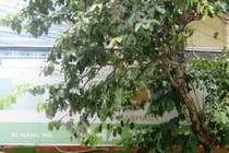 CÔNG TY CP PHÂN PHỐI BÁN LẺ DƯỢC PHẨM