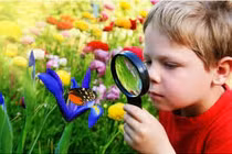 Dấu hiệu trẻ thông minh tột bậc, có thể thành thiên tài