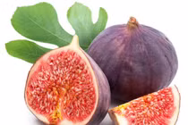 Cách dùng quả sung chữa bệnh đơn giản, hiệu nghiệm