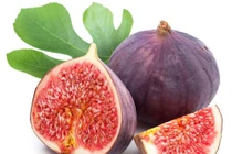 Cách dùng quả sung chữa bệnh đơn giản, hiệu nghiệm