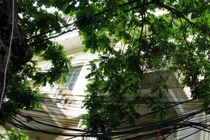 CÔNG TY CP DƯỢC PHẨM THIẾT BỊ Y TẾ HÀ NỘI