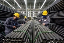 Thép Tiến Lên lùi lịch họp Đại hội cổ đông thường niên 2025