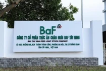 Giá heo neo cao, BAF lãi đậm quý 1 gần 134 tỷ đồng