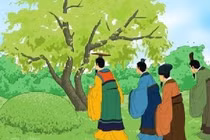 Con rể, con gái đại kỵ đi tảo mộ tiết Thanh Minh, vì sao?