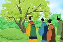 Con rể, con gái đại kỵ đi tảo mộ tiết Thanh Minh, vì sao?