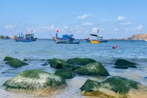 Rêu xanh làng chài Nhơn Hải níu chân du khách