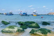 Rêu xanh làng chài Nhơn Hải níu chân du khách