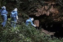 Hang động sản sinh virus lạ, có thể gây chết người hàng loạt