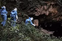 Hang động sản sinh virus lạ, có thể gây chết người hàng loạt