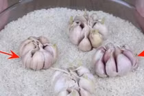Vùi một củ tỏi vào thùng gạo, điều xảy ra gây bất ngờ 