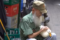 Lạ lùng cụ ông dắt vịt đi dạo khắp phố cổ Hà Nội 