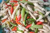 Loại rau dại hình dạng giống con sâu, được ví như nhân sâm