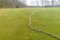 16 hình ảnh cực hiếm, may mắn lắm mới được chứng kiến 