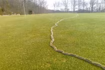 16 hình ảnh cực hiếm, may mắn lắm mới được chứng kiến 