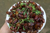 Loài côn trùng mùi hôi ám ảnh, chế biến thành món ngon