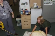 Lại gần tảng đá ven đường, chuyên gia ngớ người trước "kho báu"