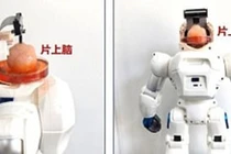 Các nhà khoa học tạo ra robot có bộ não con người