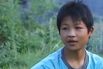 Ngỡ ngàng cậu bé có thể ra lệnh cho chim làm mọi việc