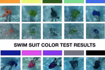 Màu sắc đồ bơi giúp ngăn ngừa đuối nước ở trẻ em