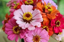 3 con giáp khởi đầu 2024 viên mãn, tiền của rủng rỉnh