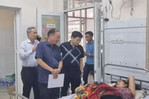 Ngộ độc sau khi ăn bánh mì ở Đồng Nai là do Salmonella, E.coli... 