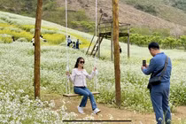 Video: Hoa cải trắng Mộc Châu hút giới trẻ check-in 