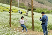 Video: Hoa cải trắng Mộc Châu hút giới trẻ check-in 