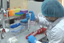 Thấy con khác nhóm máu bố mẹ, người đàn ông đi xét nghiệm ADN 